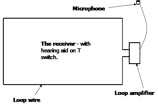 Loop system diagram
